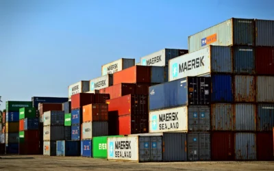 Structuring a New Business for Asset Protection and Peace of Mind | Case Study